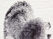 fingerprint 255904 1280